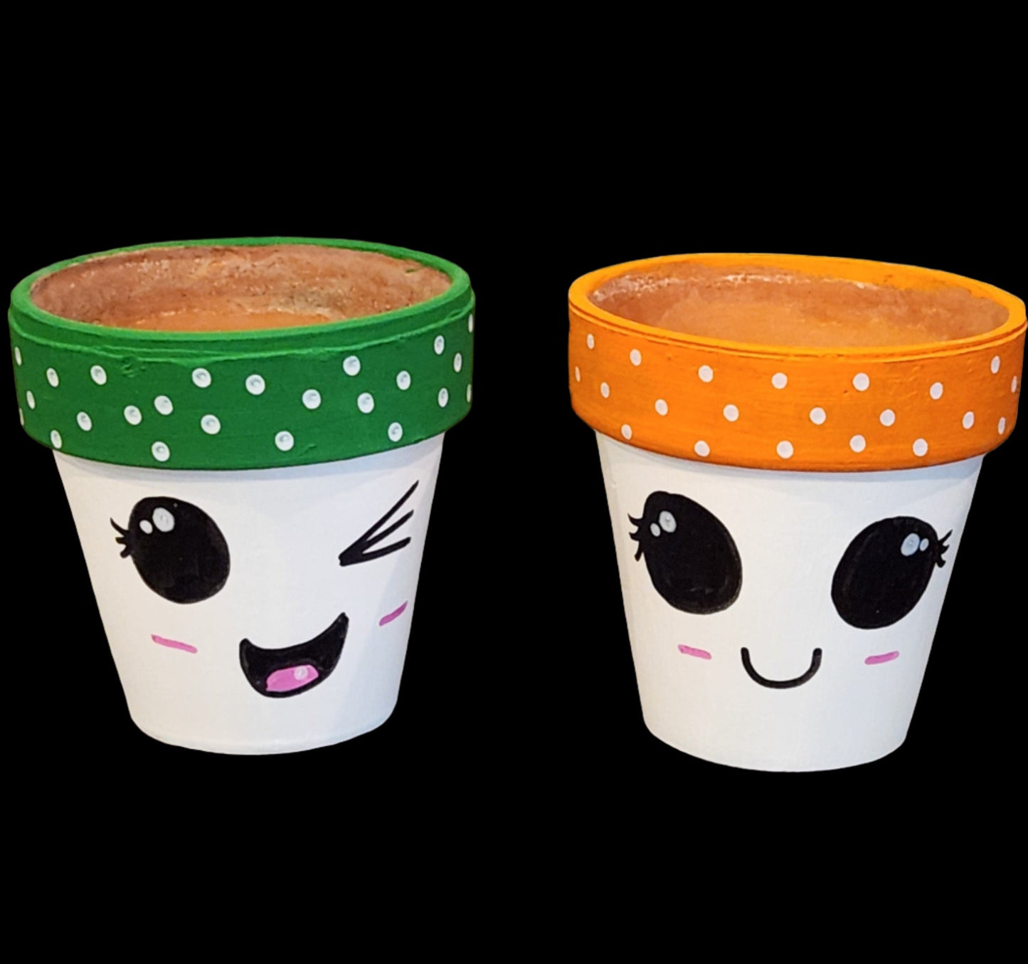 Decorative Flowerpots